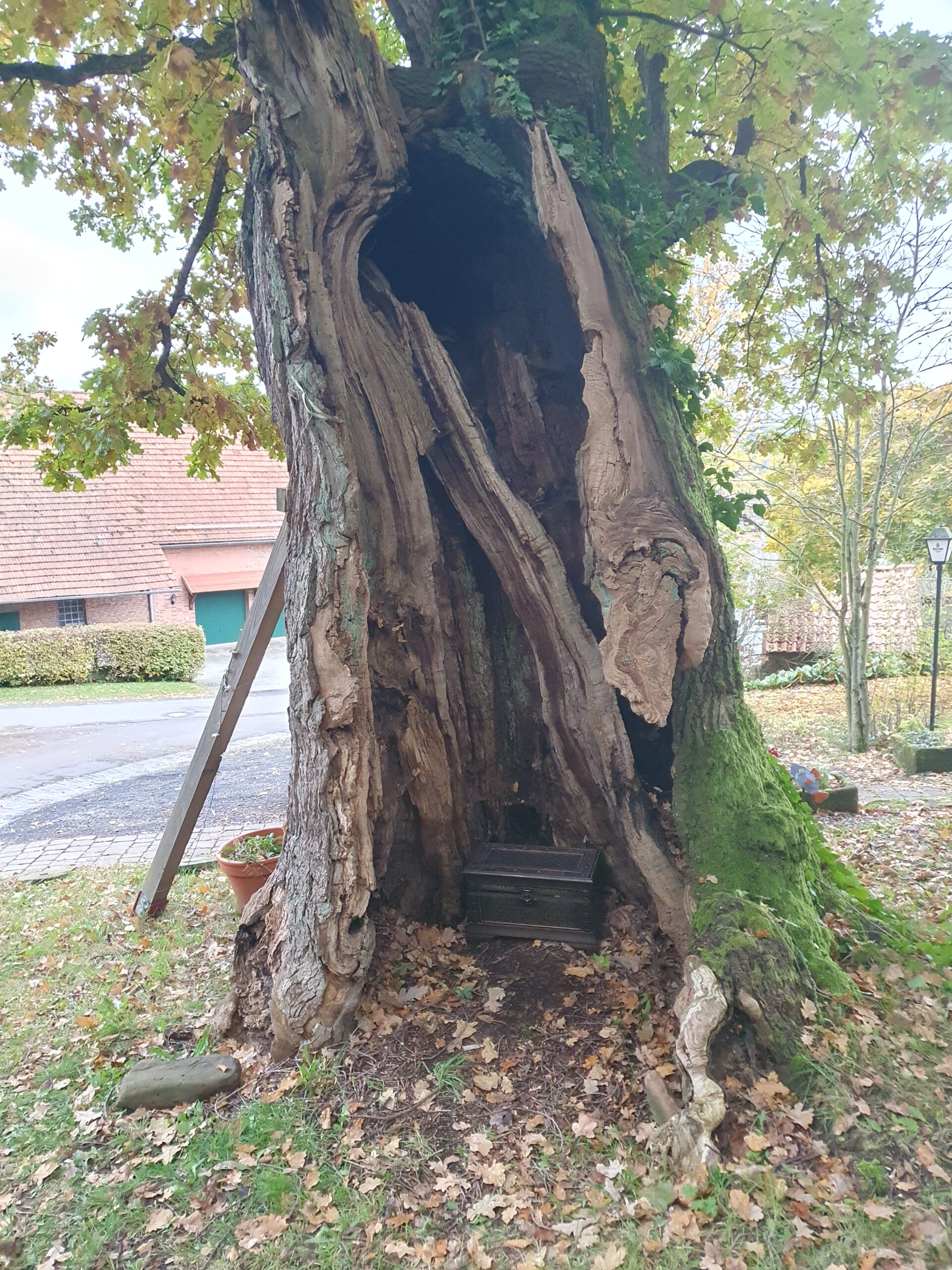 Schatzkiste